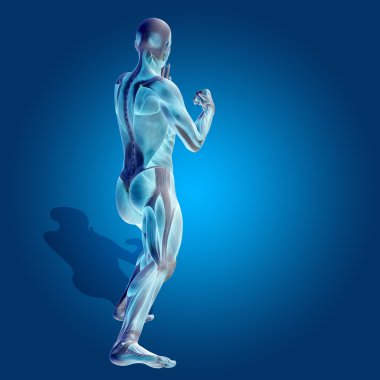  stong insan vücudu kaslı