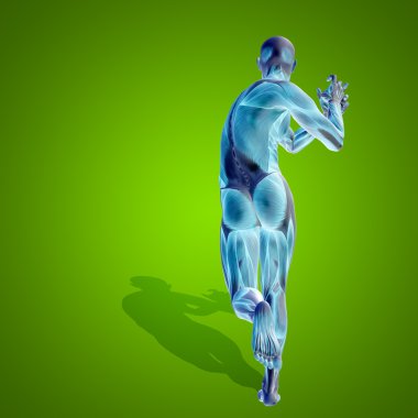 kavramsal stong insan 