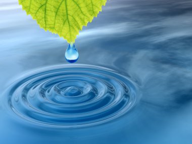  taze yaprak yeşil düşen bırak 