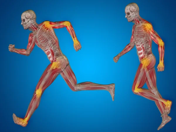 Esqueletos humanos conceituais — Fotografia de Stock