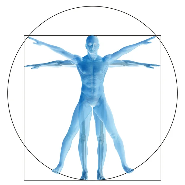 Vitruvian emberi test — Stock Fotó