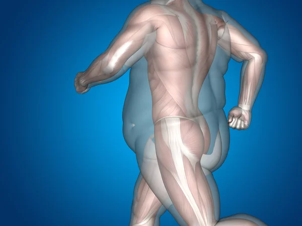 Концептуальна надмірна вага проти стрункої людини — стокове фото