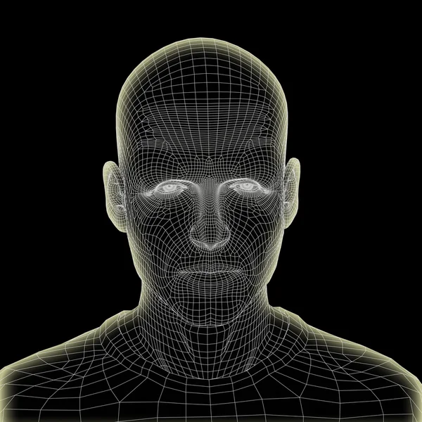 와이어 프레임 인간의 머리 — 스톡 사진