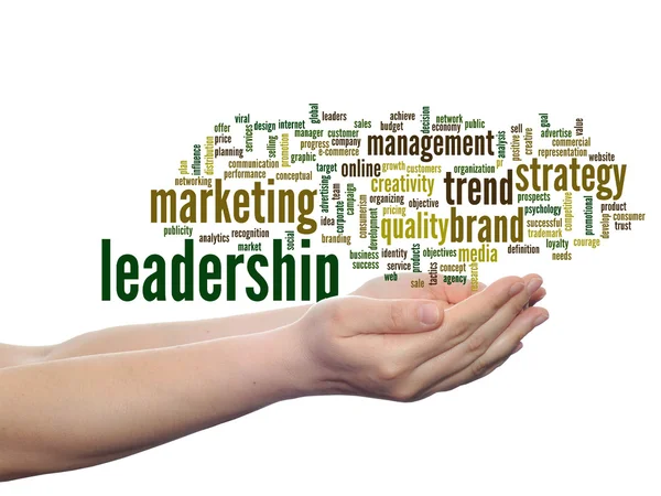 Marketing liderazgo palabra nube —  Fotos de Stock