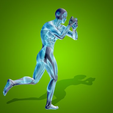 kavramsal stong insan 