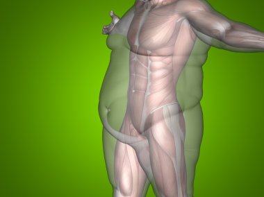  şişman kilolu vs ince adam 