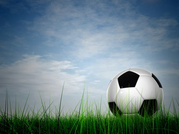 Fußball im frischen Feldgras — Stockfoto