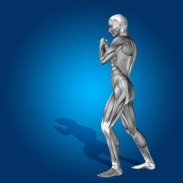 Stong human body with muscles — Stock Photo, Image