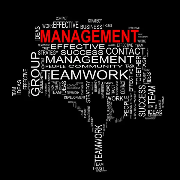 Testo di gestione come wordcloud — Foto Stock