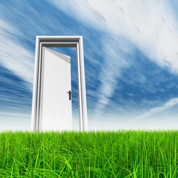 Opened door at horizon — Stock Photo, Image