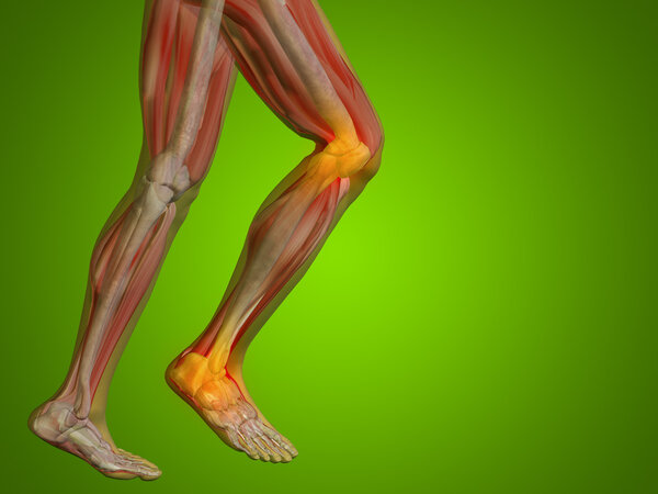  joints or articular pain, ache