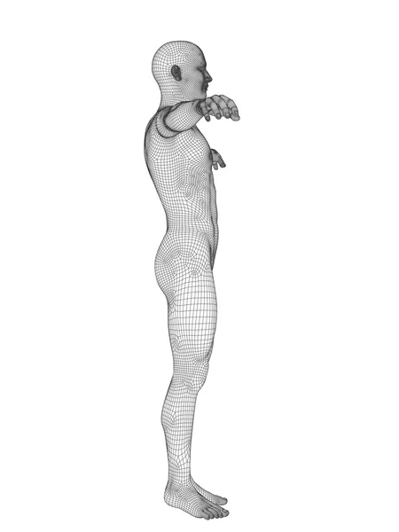 Чоловіча анатомія з білого дроту — стокове фото