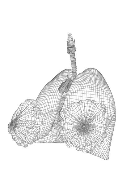 Mesh respiratory system — Stock Photo, Image