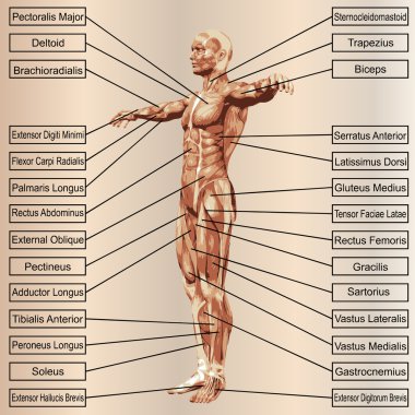  adam kasları ve metin 