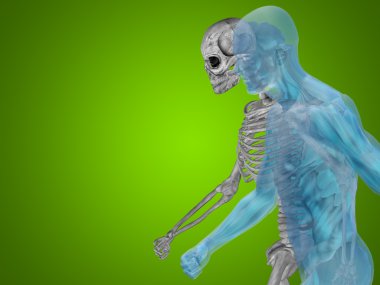 sağlık vücut göğüs