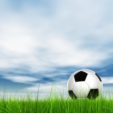 taze alan çim futbol topu