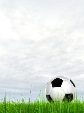 taze alan çim futbol topu