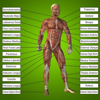  adam kasları ve metin 