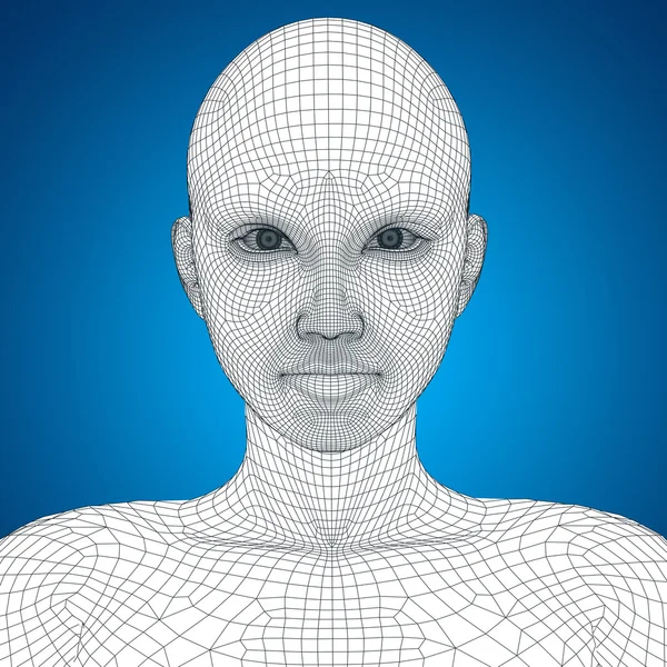 Wireframe young  female  face — Stock Photo, Image