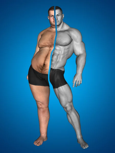 Sobrepeso vs ajuste delgado con músculos —  Fotos de Stock