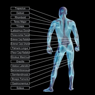  adam kasları ve metin 
