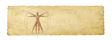 Vitruvius insan vücudu 