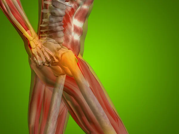 Joints or articular pain, ache — Stock Photo, Image