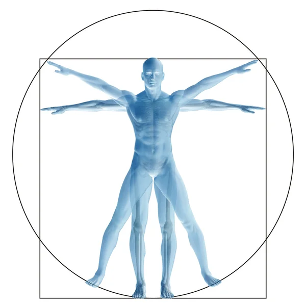 Vitruvian menselijk lichaam — Stockfoto