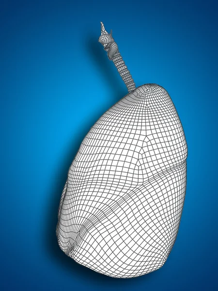 Wireframe respiratory system — Stock Photo, Image