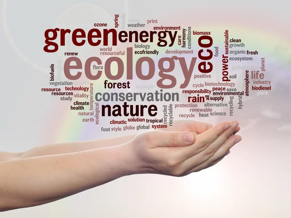 Conservation word cloud text — Stock Photo, Image