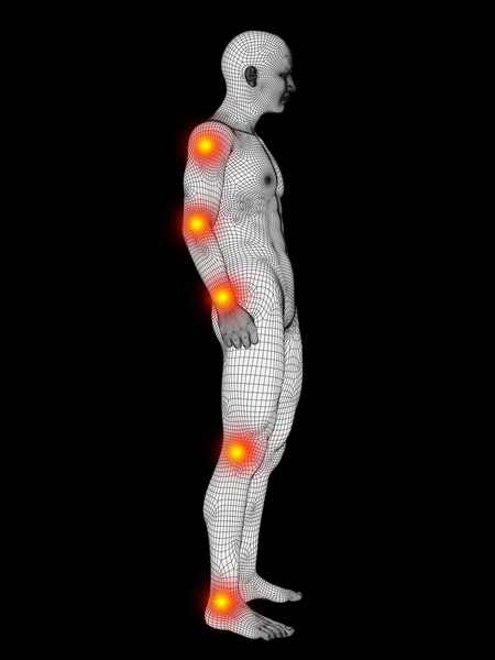 Kavramsal insan anatomisi — Stok fotoğraf