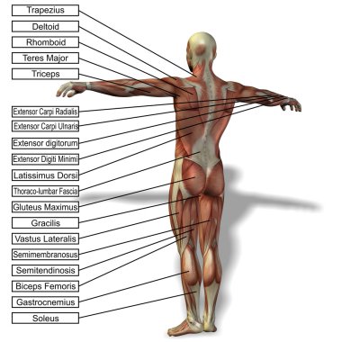  adam kasları ve metin