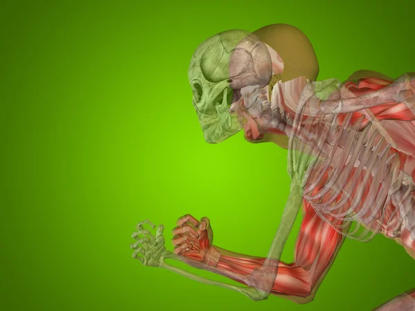 Konzeptioneller menschlicher Körper — Stockfoto
