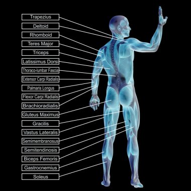  adam kasları ve metin