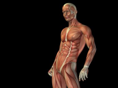 kavramsal stong insan