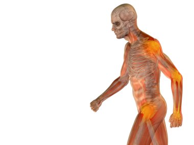 kavramsal insan anatomisi 