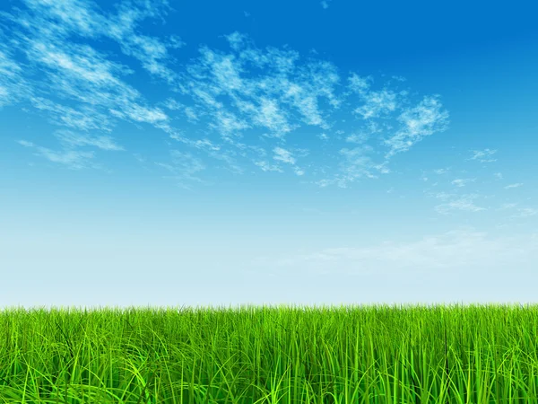 Câmp de iarbă naturală — Fotografie, imagine de stoc