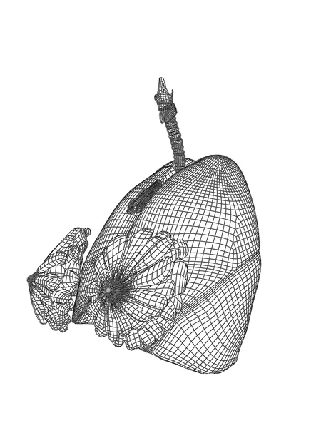 Mesh respiratory system — Stock Photo, Image