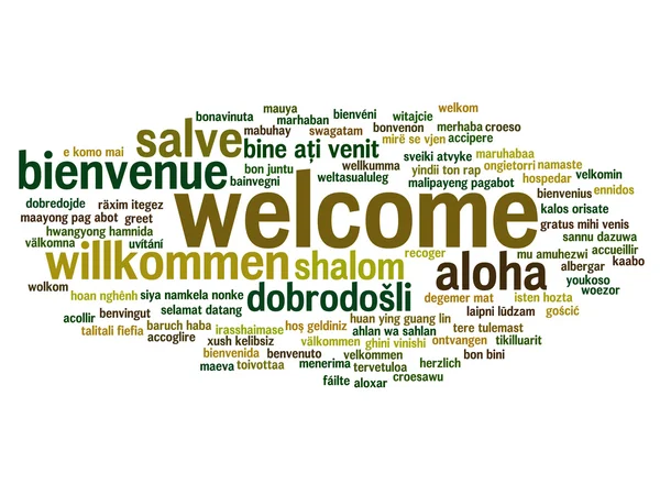 Concepto o resumen conceptual bienvenida o saludo internacional palabra nube en diferentes idiomas o multilingüe — Foto de Stock
