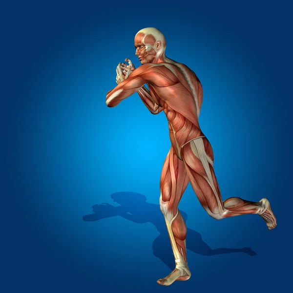 Stong human  body with muscles — Stock Photo, Image