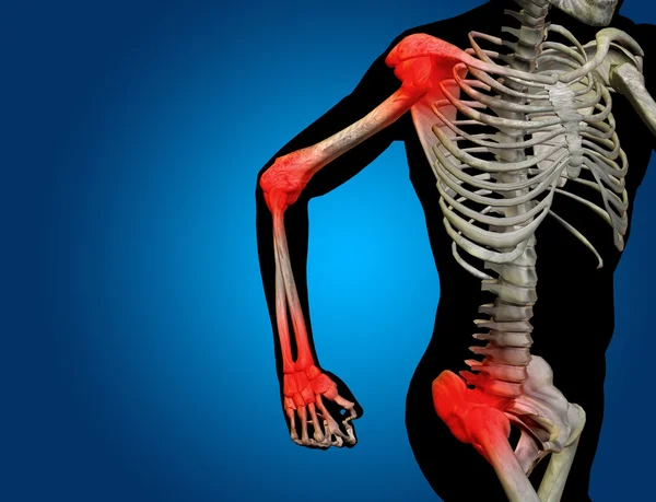 Konceptuella mänskliga anatomyn blå bakgrund — Stockfoto