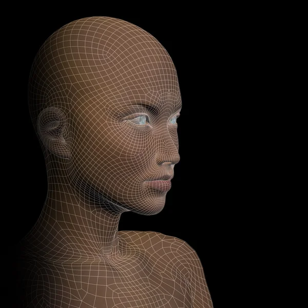 Drátěný model lidská hlava — Stock fotografie
