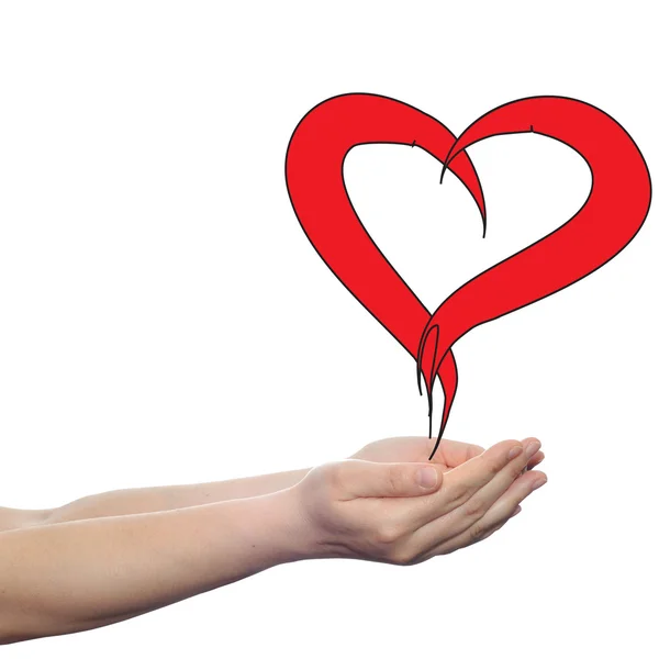 Painted heart held in hands — Stock Photo, Image