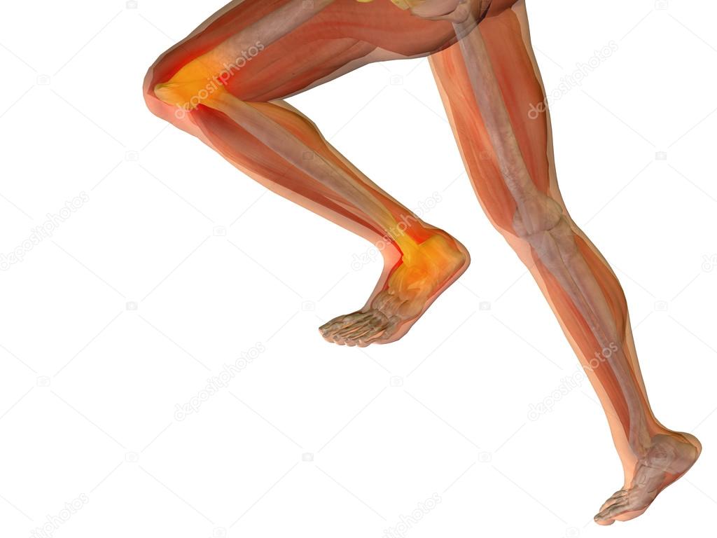 Conceptual human man anatomy 