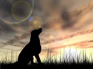 sevimli köpek siluet