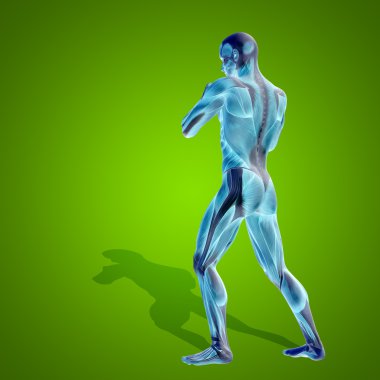  kavramsal stong insan