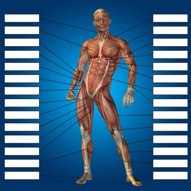  adam kasları ve metin kutusu 