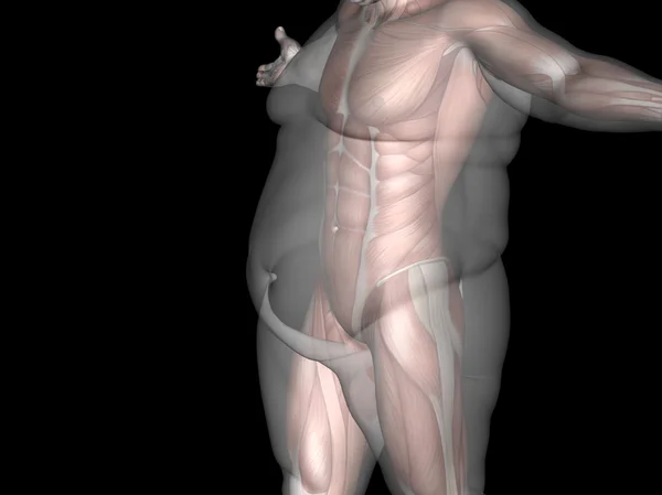 Sobrepeso vs homem de ajuste fino — Fotografia de Stock