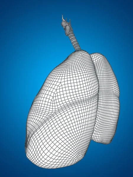 Sistema respiratório de malha — Fotografia de Stock