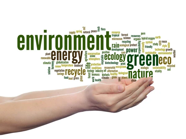 Conservation word cloud — Stock Photo, Image